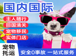 宁波空运公司国际宠物托运 【国
